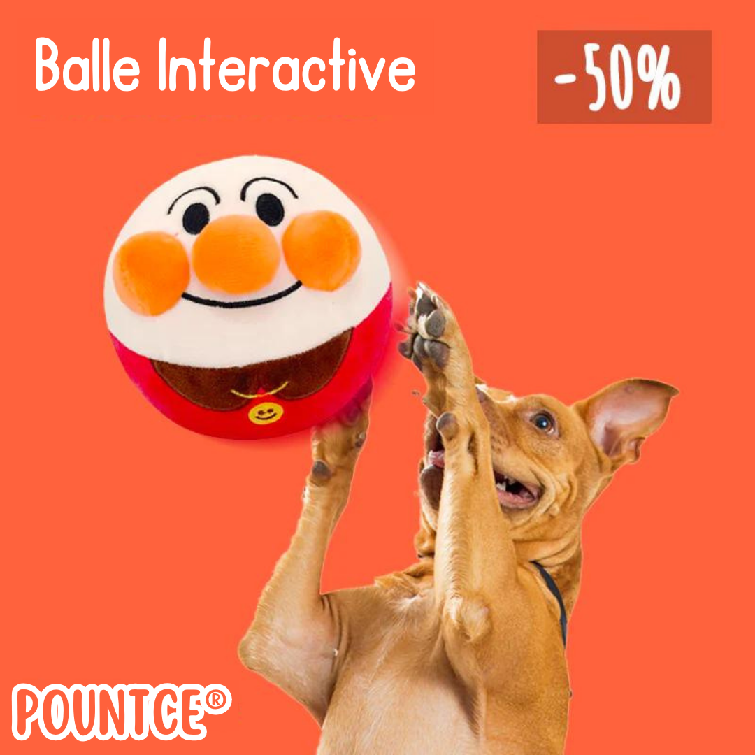 Pountce® Interaktivt Spil Bold til Dyr