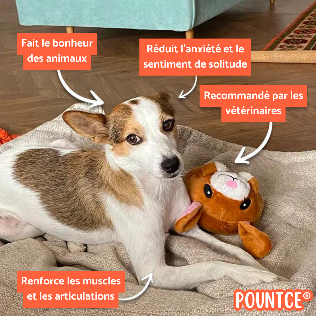 Pountce® Interaktivt Spil Bold til Dyr