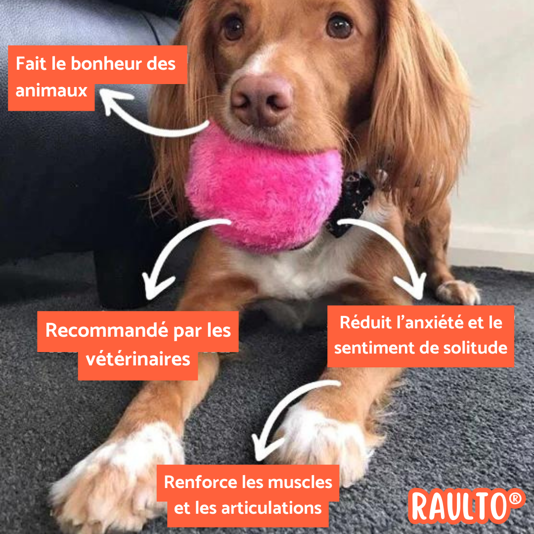 Raulto® Magisk Spilbold til Dyr